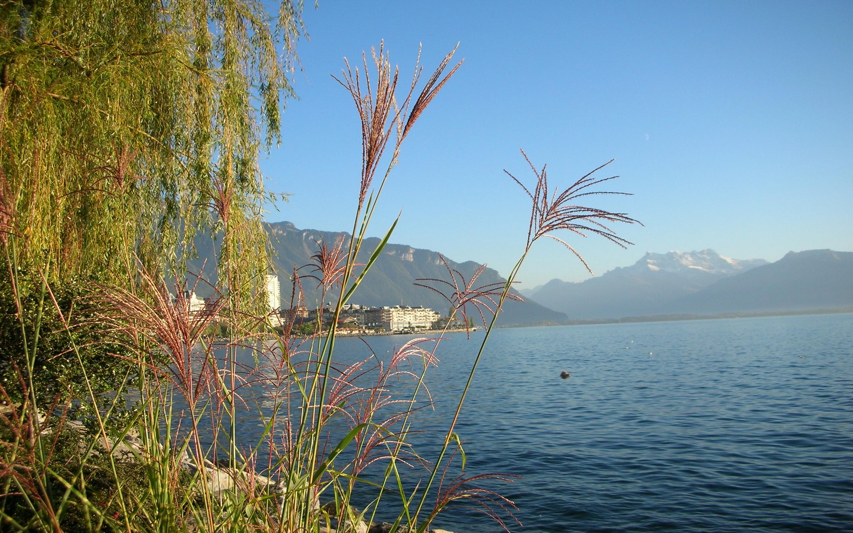 Fonds d'cran Voyages : Europe Suisse Le lac Lman vu de Montreux