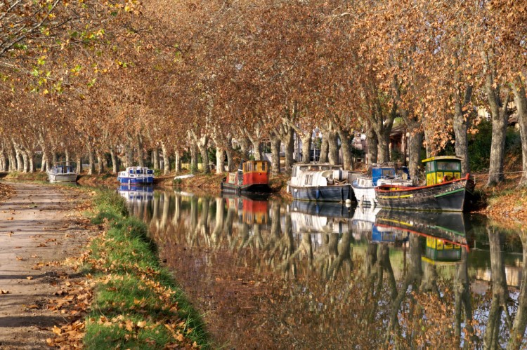 Wallpapers Nature Canals Canal du Midi