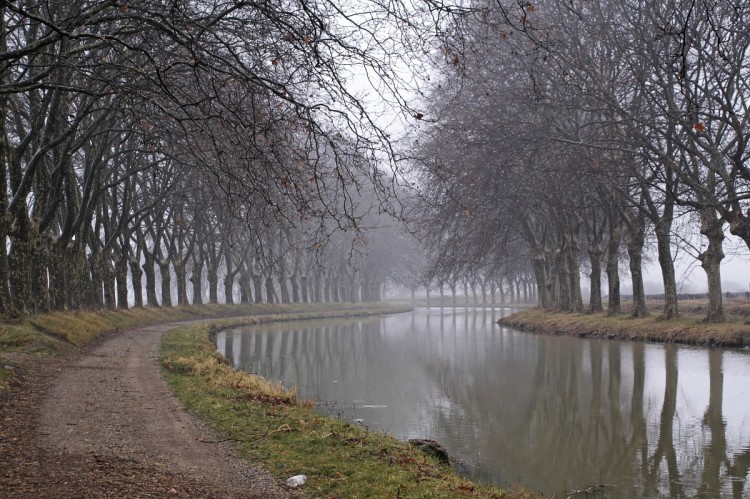 Fonds d'cran Nature Canaux Canal du Midi