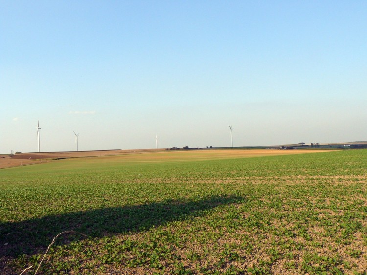 Fonds d'cran Constructions et architecture Moulins - Eoliennes champs, oliennes