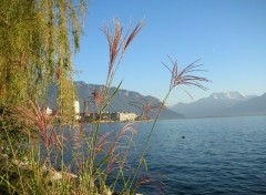 Fonds d'cran Voyages : Europe Le lac Lman vu de Montreux