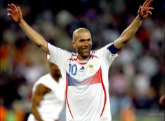 Wallpapers Sports - Leisures zizou le champion