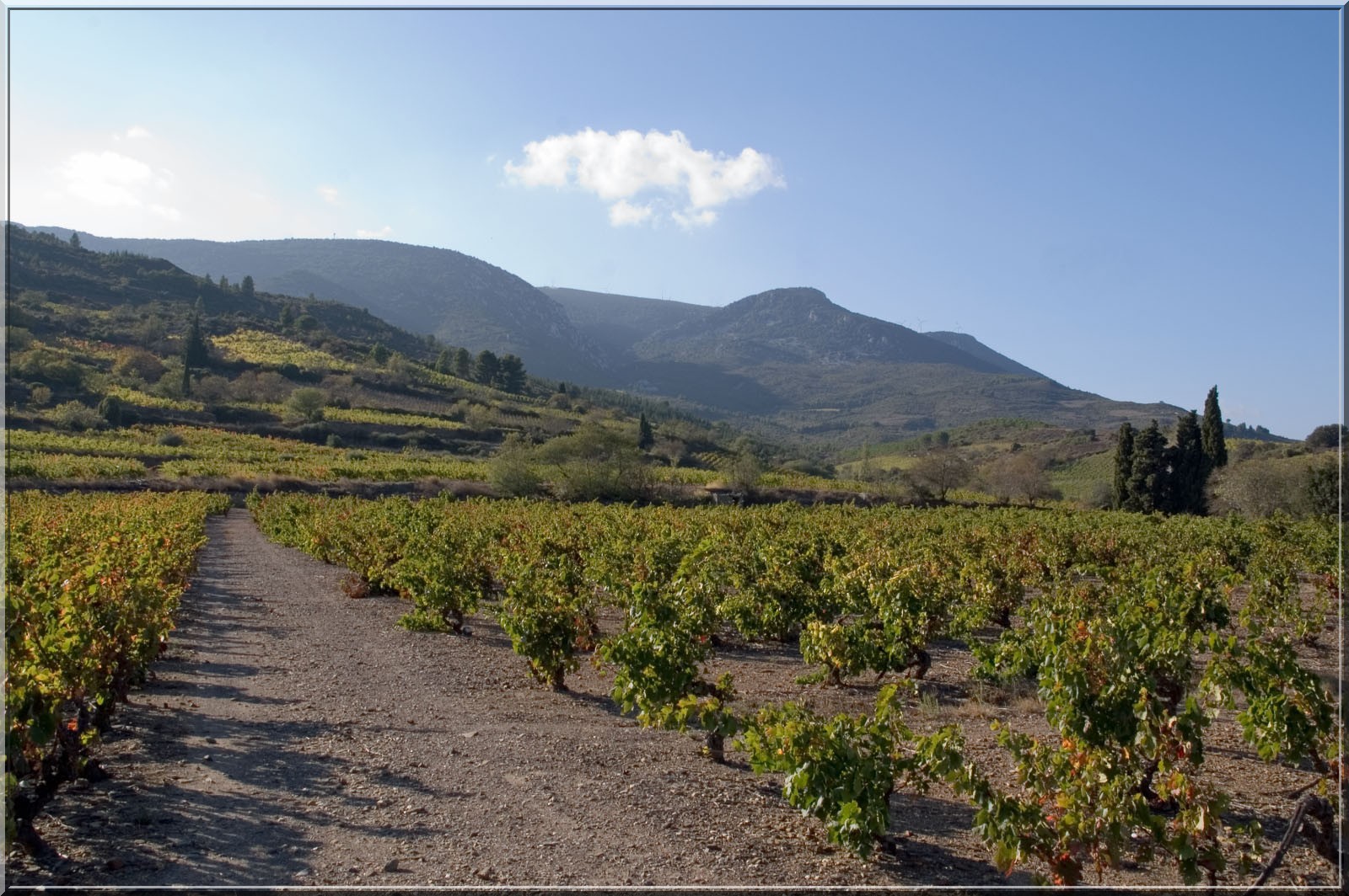 Wallpapers Trips : Europ France > Languedoc-Roussillon Les Corbires