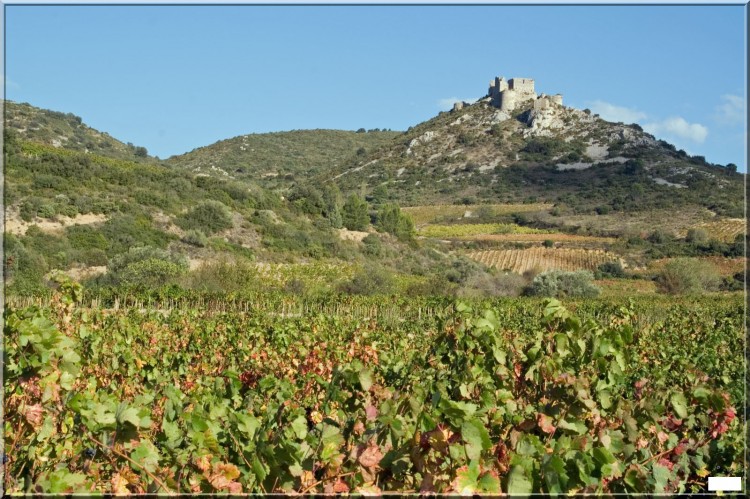 Wallpapers Trips : Europ France > Languedoc-Roussillon Les Corbires