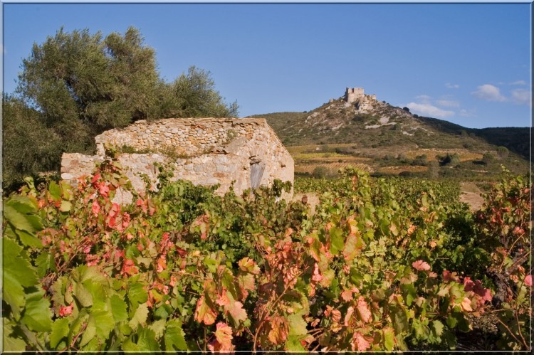 Wallpapers Trips : Europ France > Languedoc-Roussillon Les Corbires