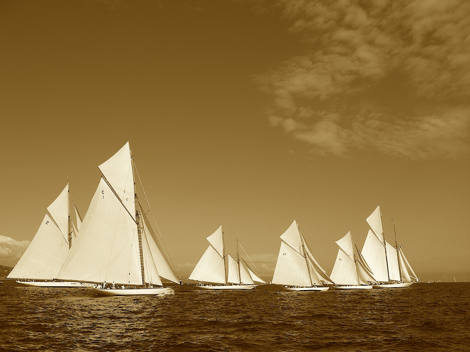 Fonds d'cran Bateaux Voiliers Armada de voiles auriques  Saint-Tropez