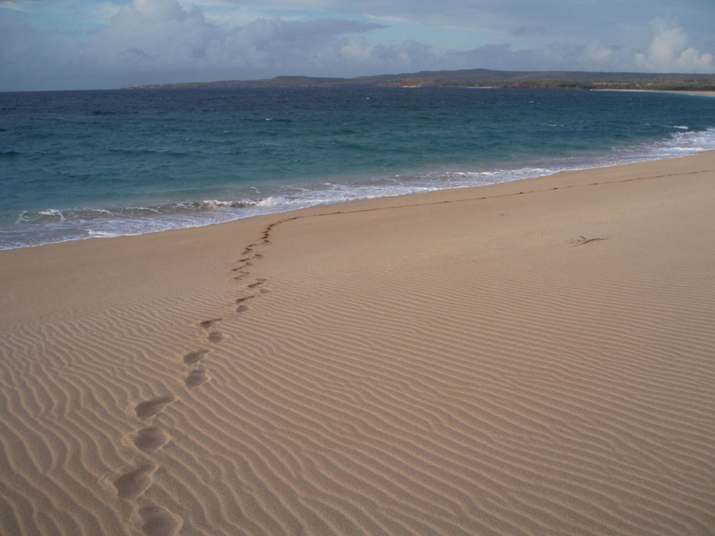 Fonds d'cran Nature Mers - Ocans - Plages immensit