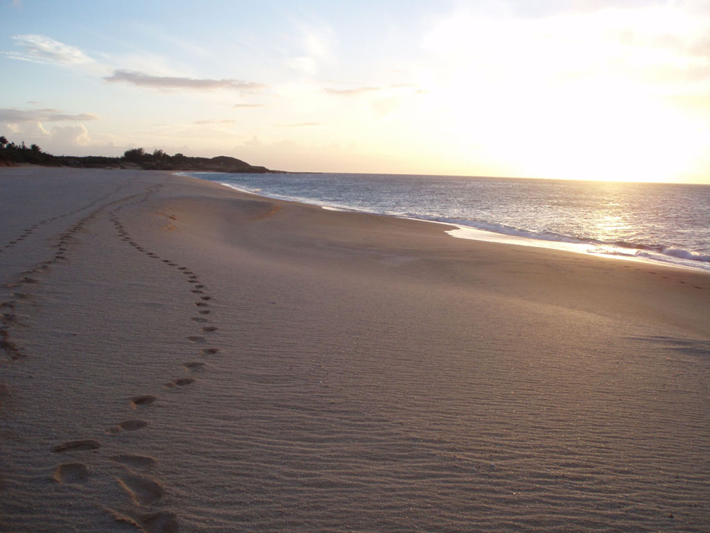 Fonds d'cran Nature Mers - Ocans - Plages 