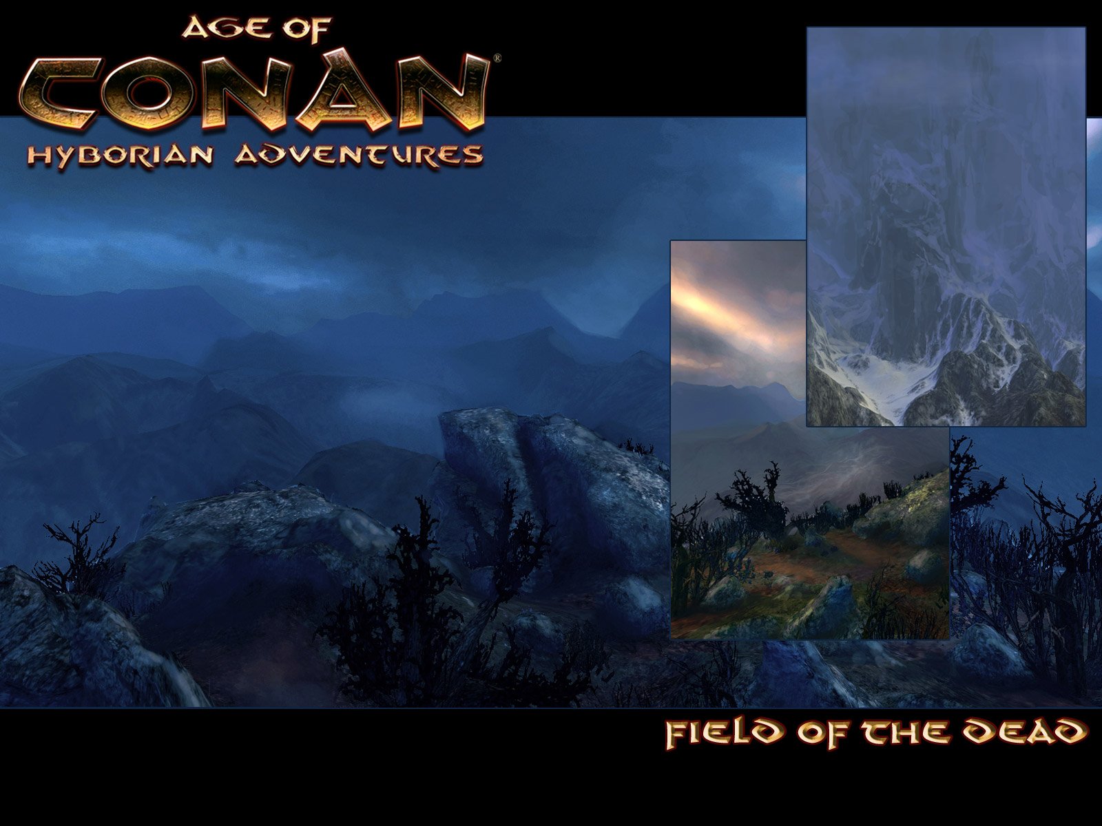 Fonds d'cran Jeux Vido Age of Conan - Hyborian Adventures 