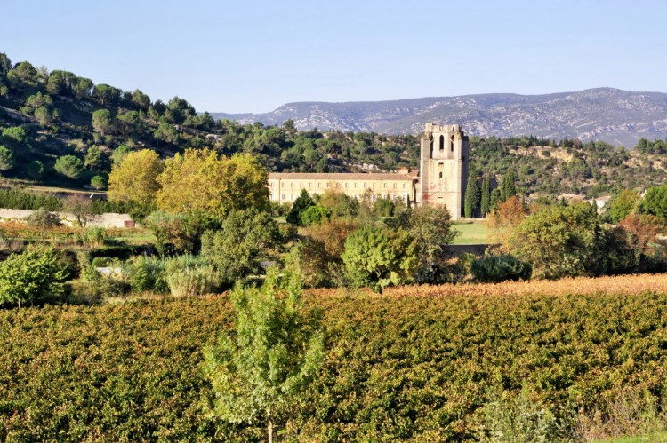 Fonds d'cran Voyages : Europe France > Languedoc-Roussillon Abbaye de Lagrasse