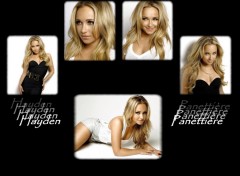 Wallpapers Celebrities Women Hayden panettiere