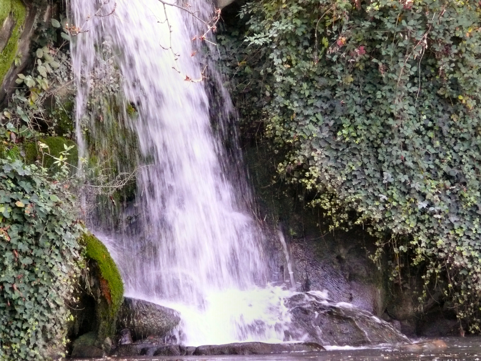 Fonds d'cran Nature Cascades - Chutes Petite cascade au bois de Boulogne