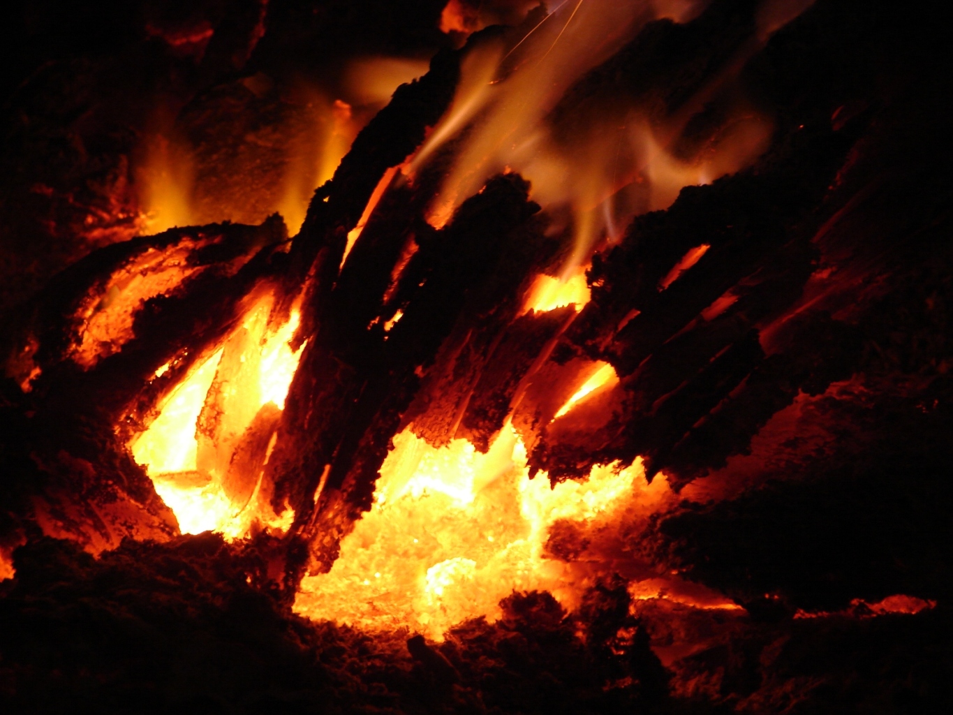 Wallpapers Nature Fires pour ceux qui on froid