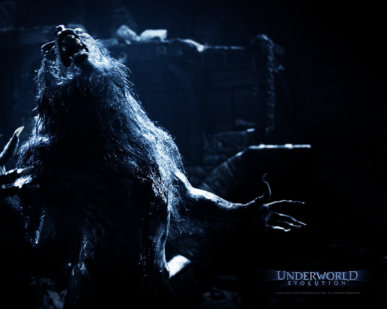 Wallpapers Movies Underworld - Evolution 