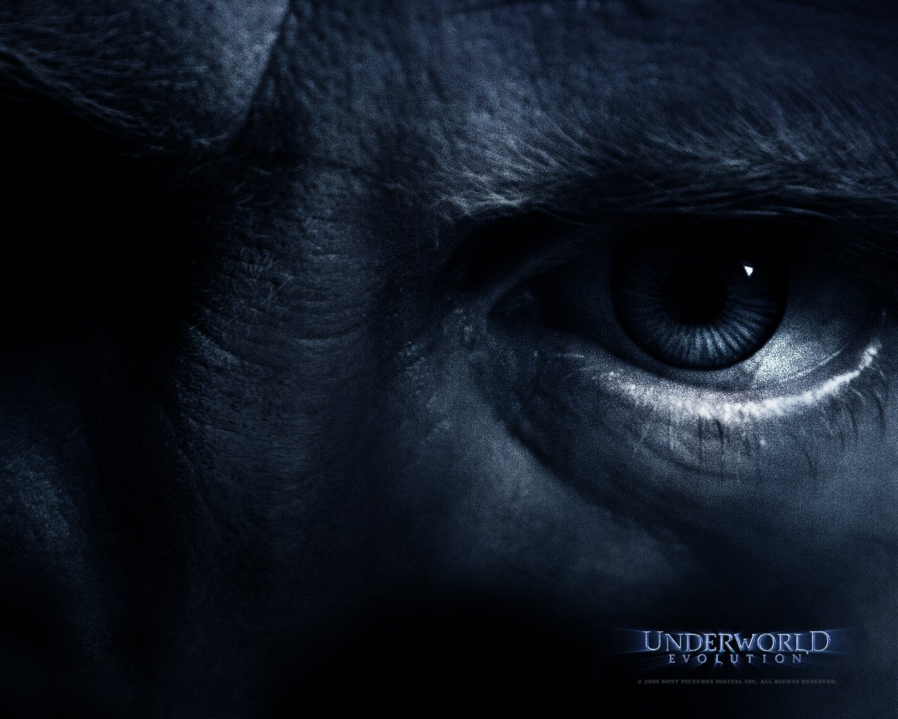 Wallpapers Movies Underworld - Evolution 