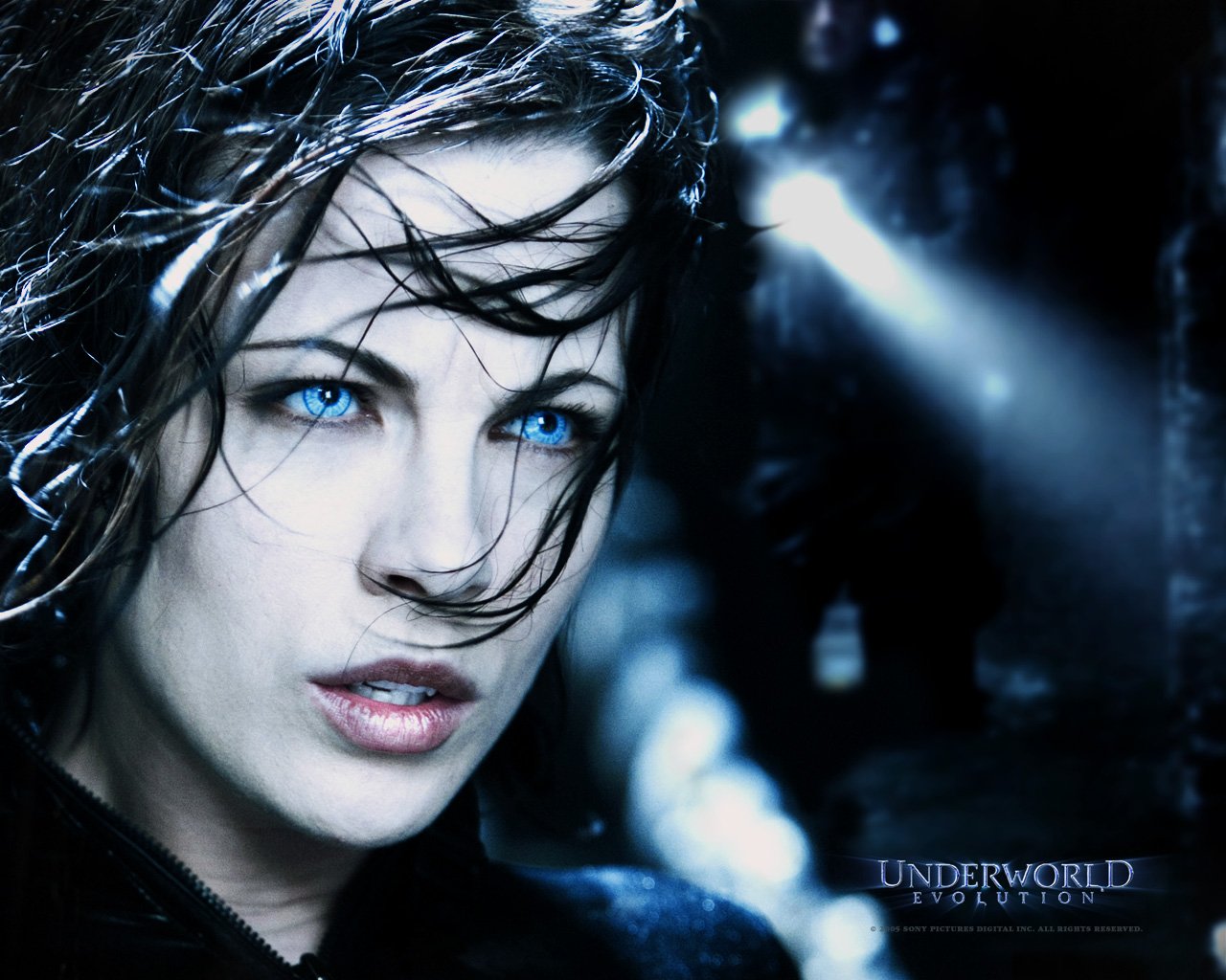 Fonds d'cran Cinma Underworld - Evolution 