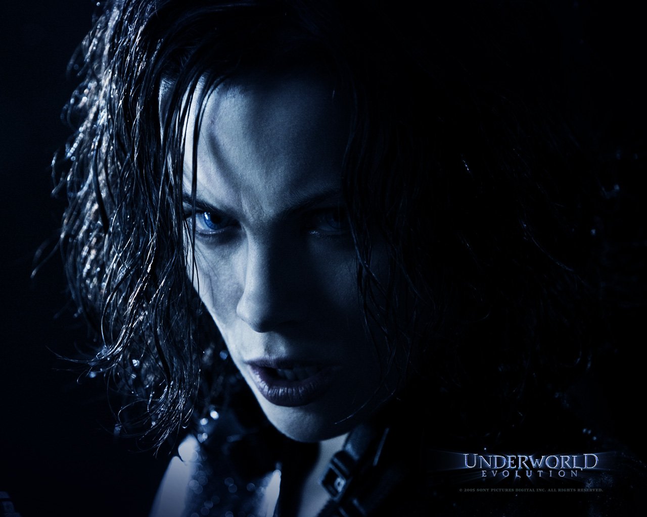 Wallpapers Movies Underworld - Evolution 