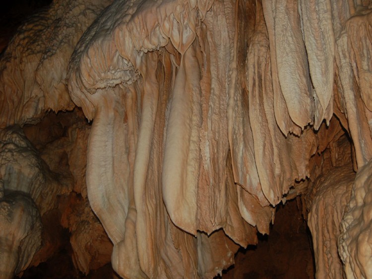 Fonds d'cran Nature Cavernes - Grottes Oreilles d'lphants