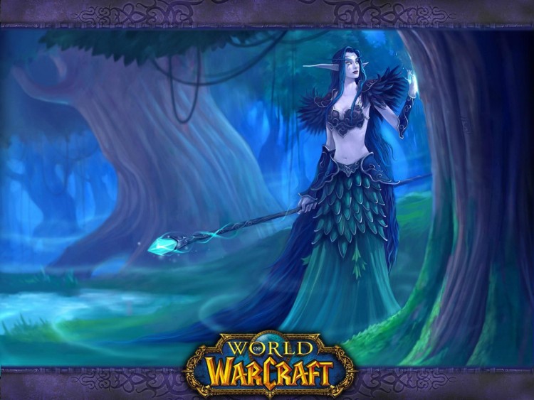 Fonds d'cran Jeux Vido World of Warcraft Wallpaper N181652