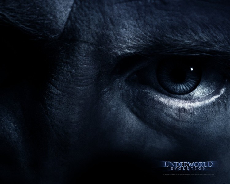 Wallpapers Movies Underworld - Evolution Wallpaper N181687