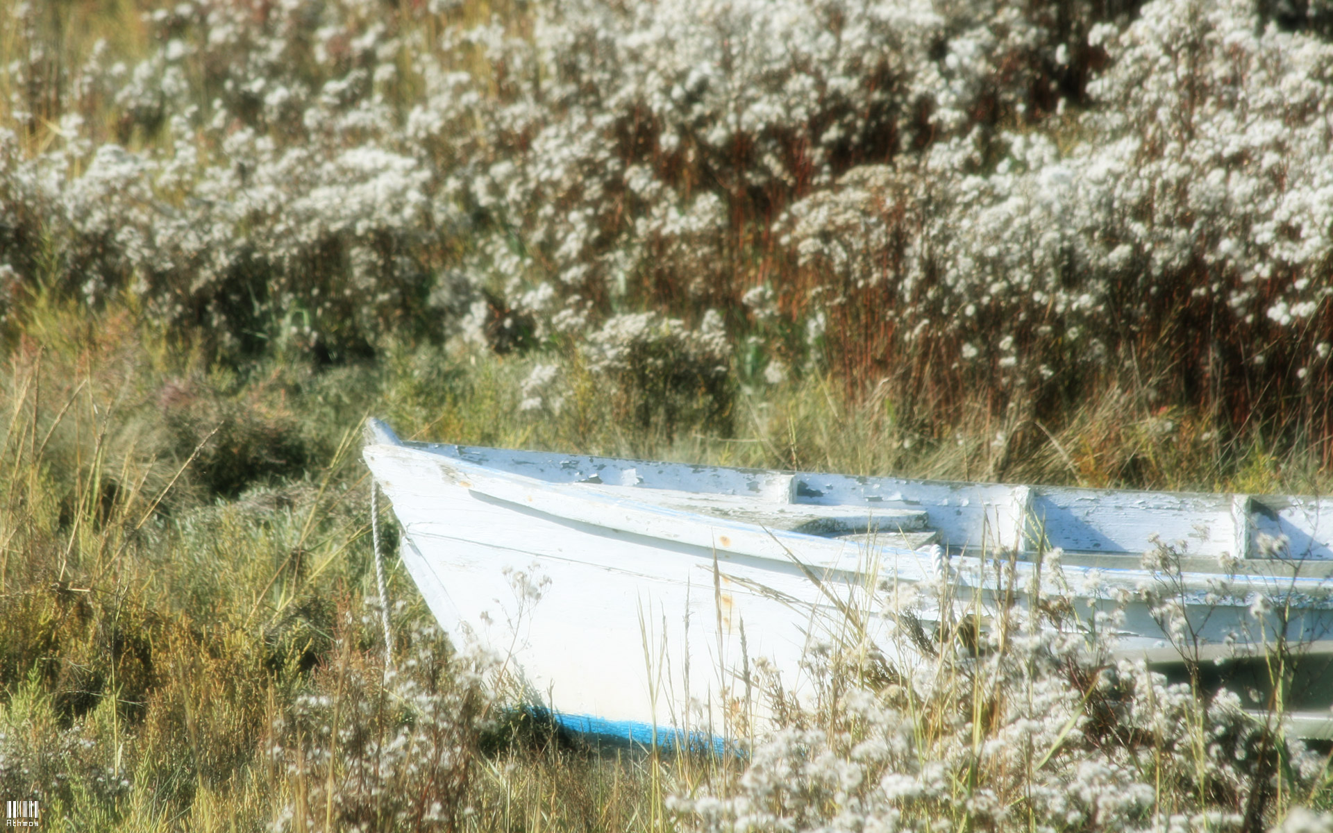 Fonds d'cran Bateaux Barques - Pirogues Vieille barque dans les marais