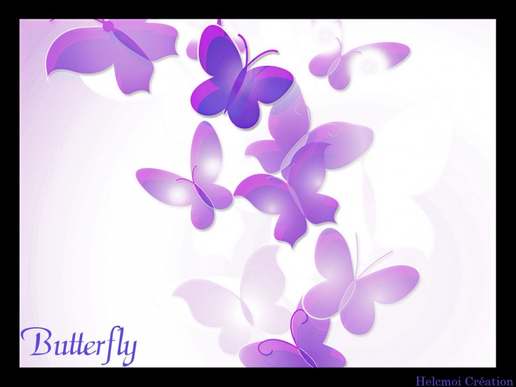 Fonds d'cran Art - Numrique Animaux Butterfly