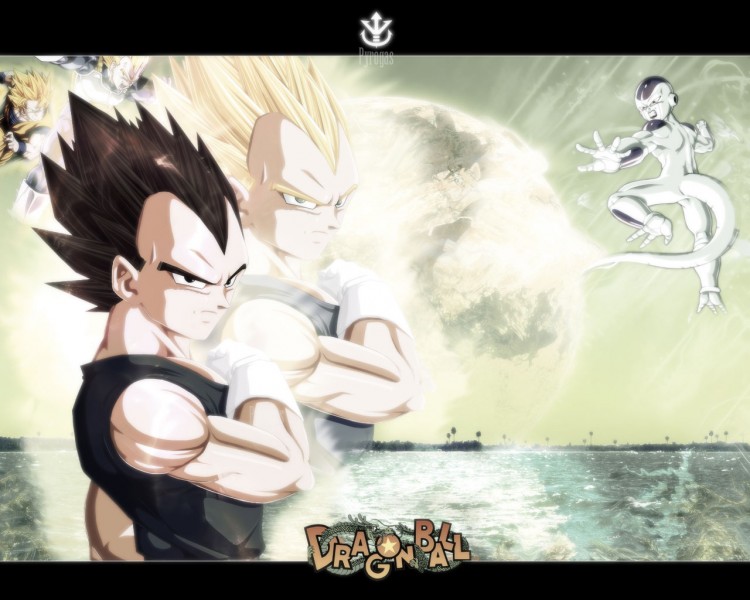 Wallpapers Manga Dragon Ball Vegeta prince saiyen