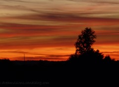 Fonds d'cran Nature Ciel en feu