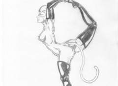 Fonds d'cran Art - Crayon catwomen