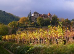 Fonds d'cran Nature VIGNOBLE DE RORSCHWIHR  68