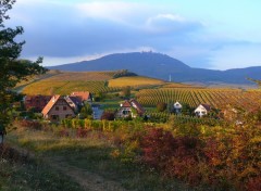 Fonds d'cran Nature RORSCHWIHR  68 ET CHATEAU DU HAUT KOENIGSBOURG