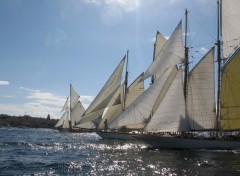 Wallpapers Boats voiles de Saint Tropez