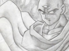 Wallpapers Art - Pencil tenshinhan