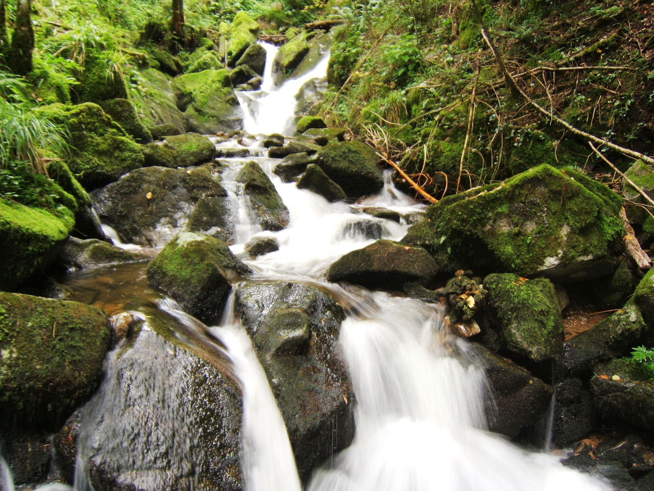 Fonds d'cran Nature Cascades - Chutes cascade vosges