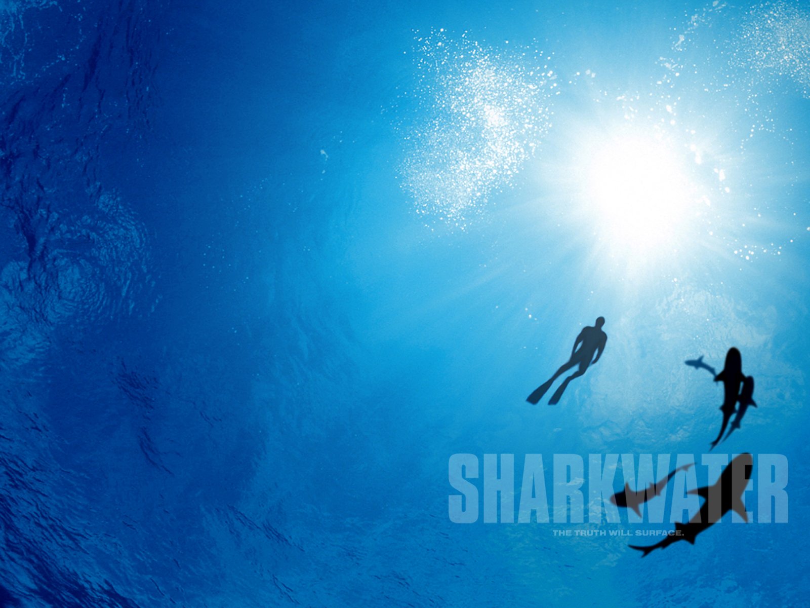 Wallpapers Movies Sharkwater 