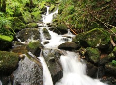 Fonds d'cran Nature cascade vosges