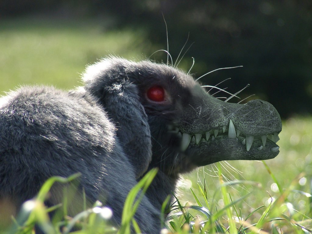 Fonds d'cran Art - Numrique Animaux 