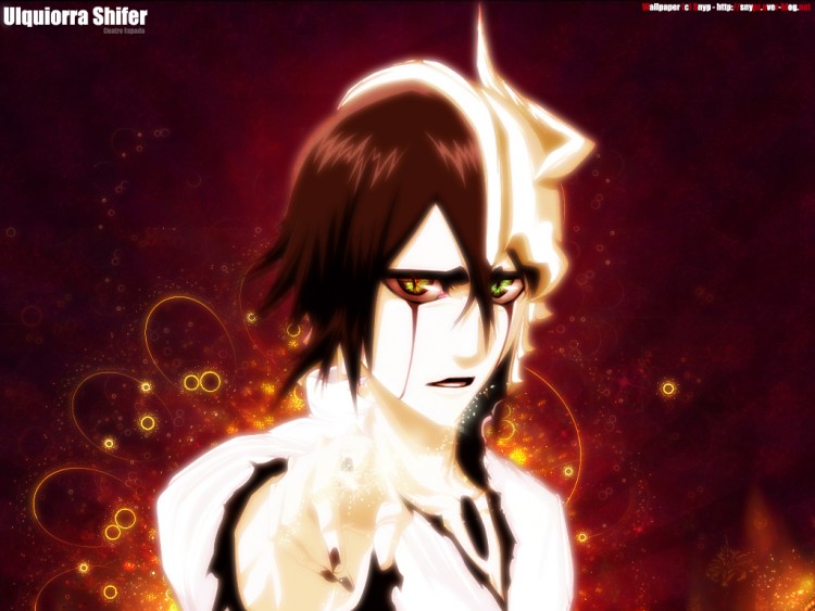 Wallpapers Manga Bleach The terrifying power