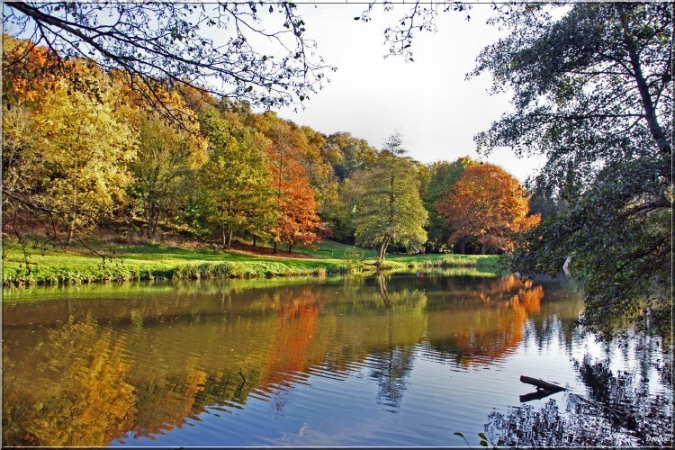 Wallpapers Nature Water - Reflection Etang de Ste-Suzanne