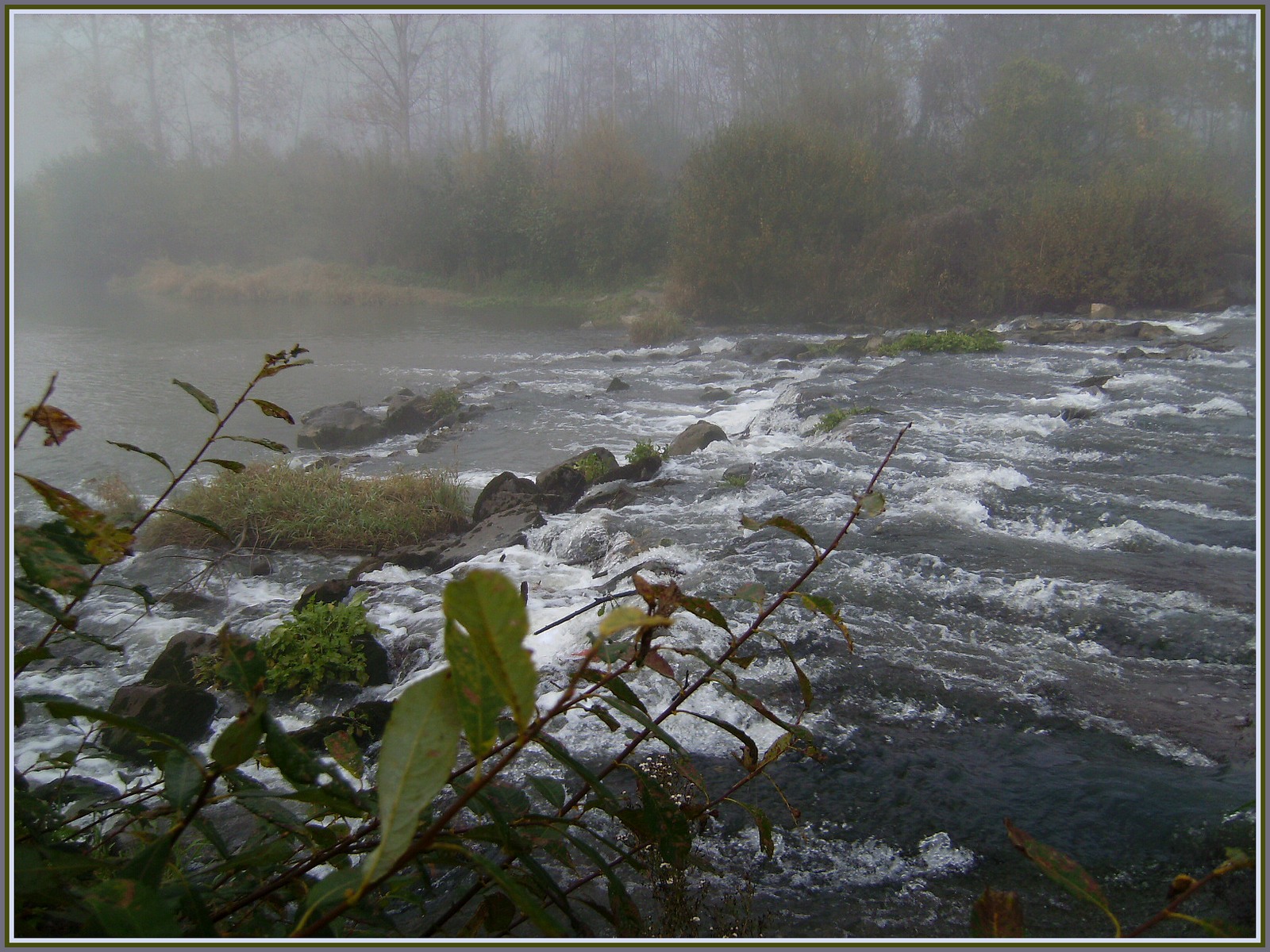 Fonds d'cran Nature Saisons - Automne Brumes Picardes