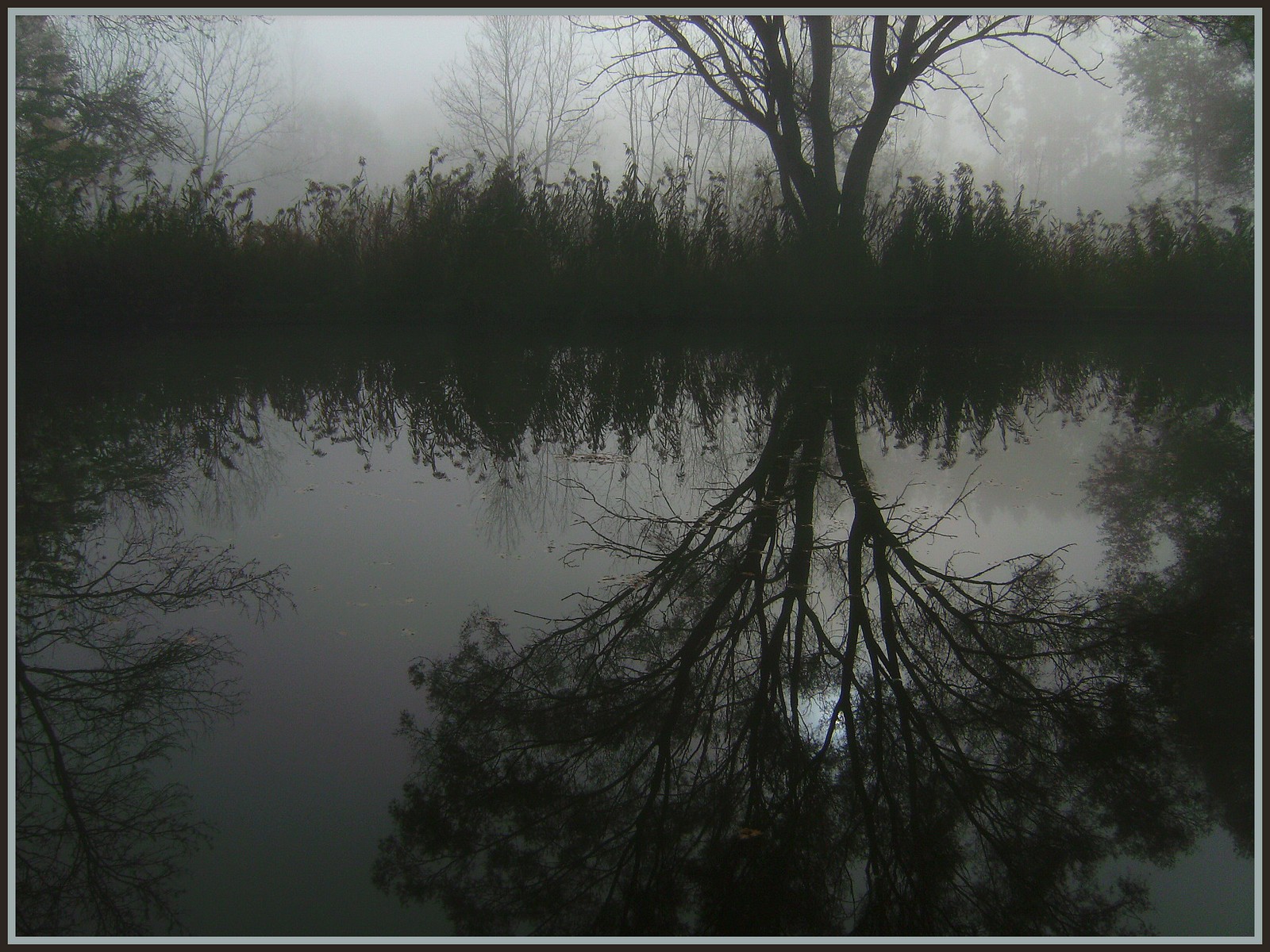 Fonds d'cran Nature Eau - Reflets Reflets d'automne en Picardie