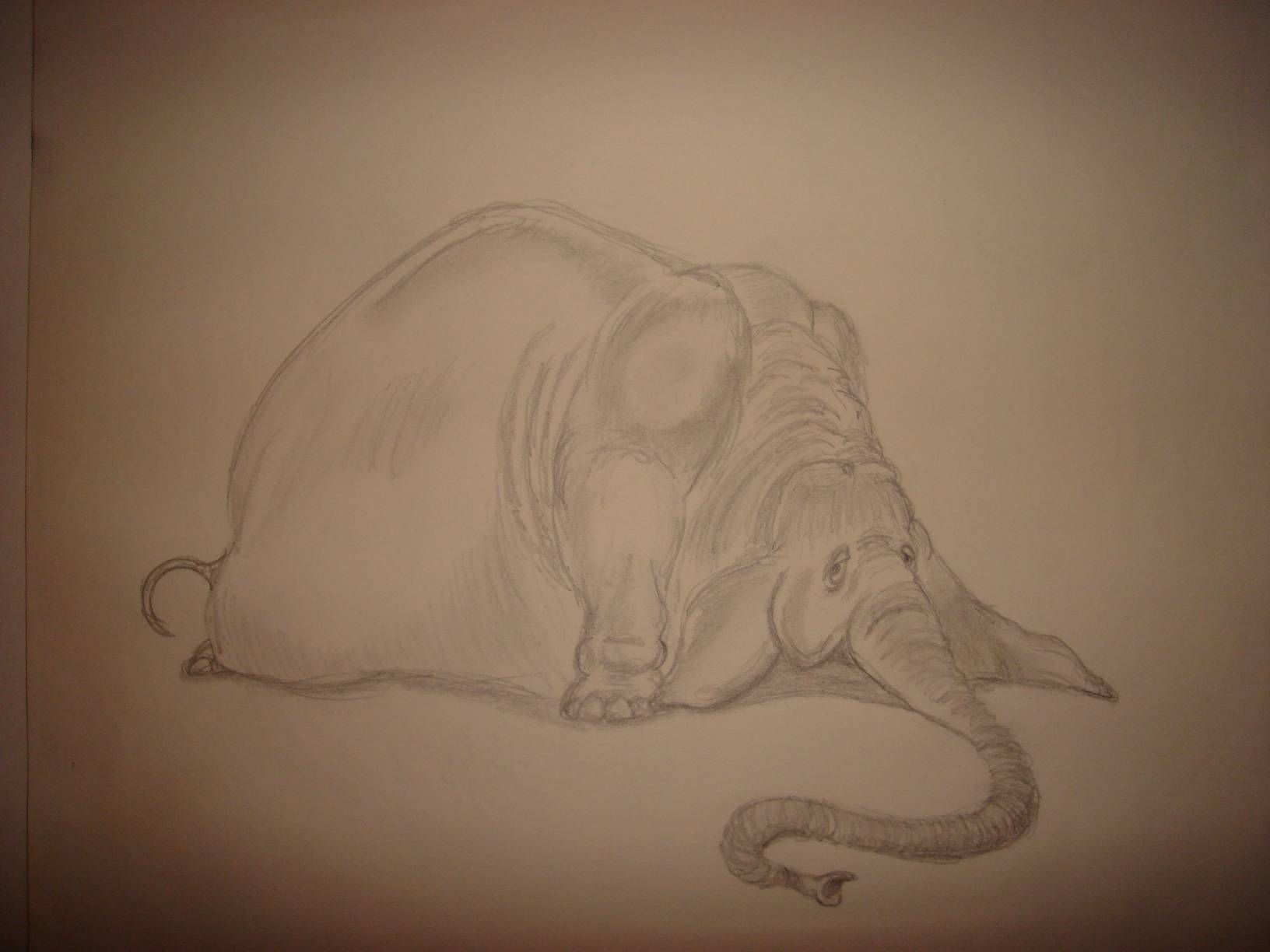 Wallpapers Art - Pencil Animals - Elephants 