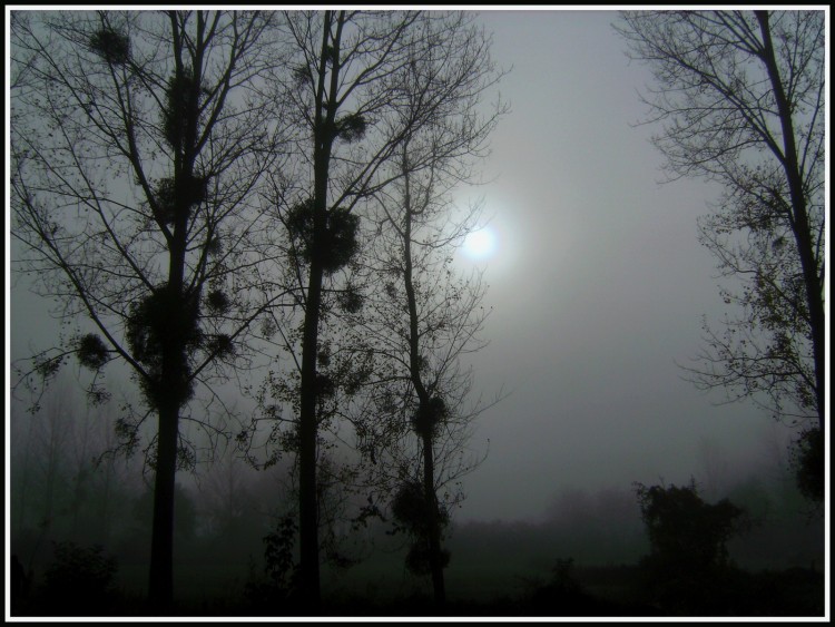 Fonds d'cran Nature Ciel - Nuages Ciel Picard