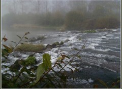 Fonds d'cran Nature Brumes Picardes