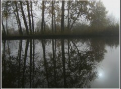 Fonds d'cran Nature Reflets d'automne en Picardie