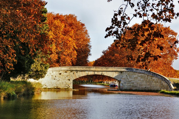 Wallpapers Nature Water - Reflection Canal du Midi