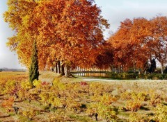 Wallpapers Nature Canal du Midi