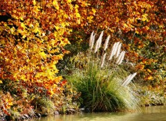 Wallpapers Nature Canal du Midi