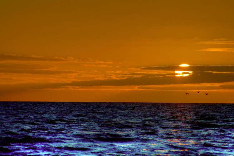 Fonds d'cran Nature Couchers et levers de Soleil coucher de soleil australien