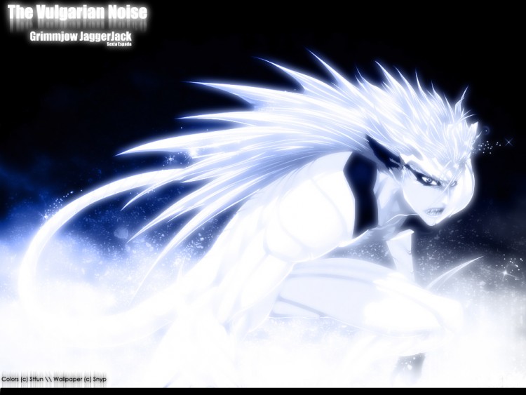 Wallpapers Manga Bleach The Vulgarian Noise